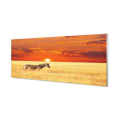 Steklena slika Zebra polje sunset