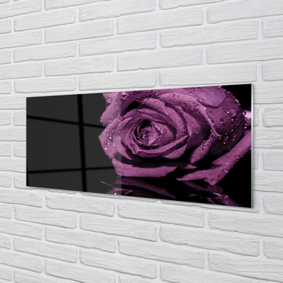 Slika na steklu Vijolična vrtnica
