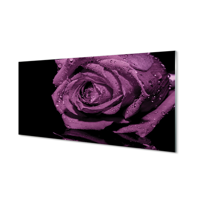 Slika na steklu Vijolična vrtnica