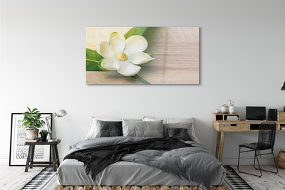 Steklena slika Bele magnolije