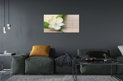 Steklena slika Bele magnolije