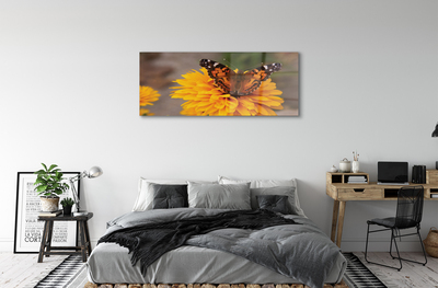 Steklena slika Pisani metulj cvet