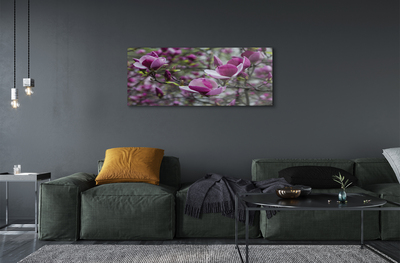 Steklena slika Vijolična magnolija
