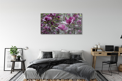 Steklena slika Vijolična magnolija