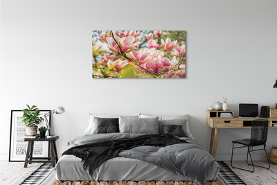 Steklena slika Roza magnolija