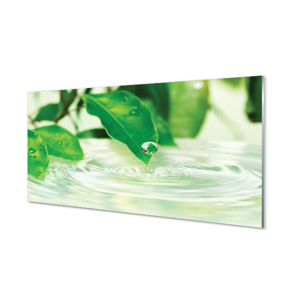 Slika na steklu Kapljice listi vodo