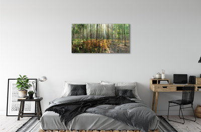 Steklena slika Gozd drevo breza