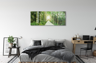 Steklena slika Breza drevo gozdna cesta