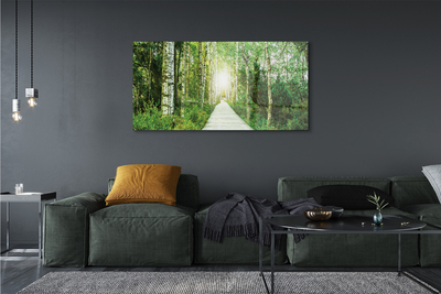 Steklena slika Breza drevo gozdna cesta