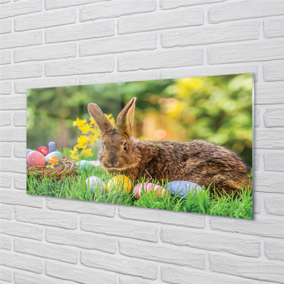Steklena slika Rabbit jajca travnik