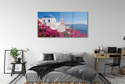Steklena slika Grčija flowers morske stavbe