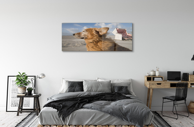 Steklena slika Brown pes na plaži
