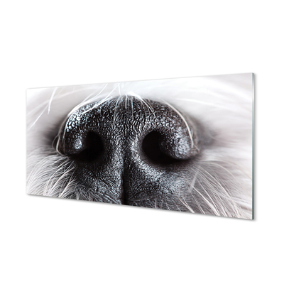 Steklena slika Psu nos