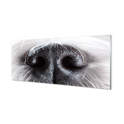 Steklena slika Psu nos