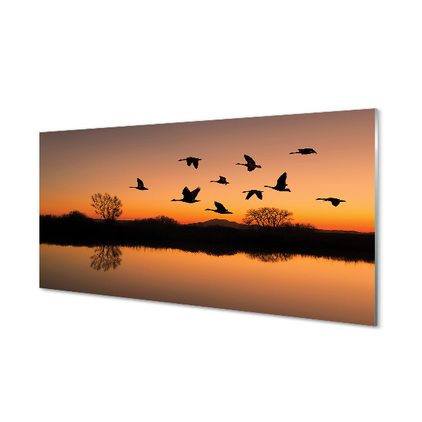 Steklena slika Flying ptice sunset