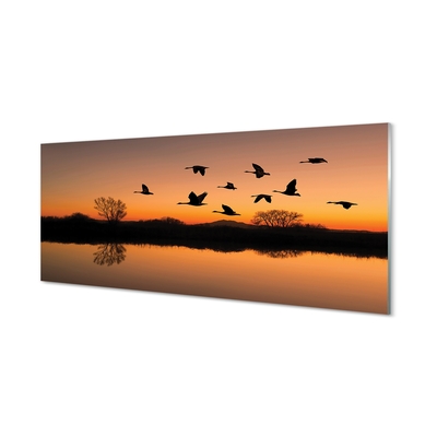 Steklena slika Flying ptice sunset