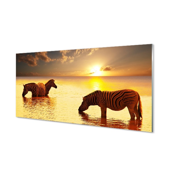 Steklena slika Zebras voda sončni zahod