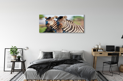 Steklena slika Zebra