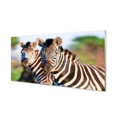 Steklena slika Zebra