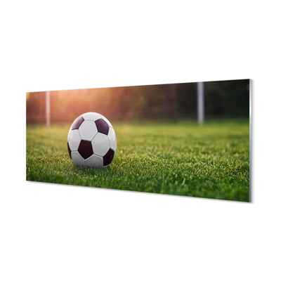 Slika na steklu Nogomet trava portal