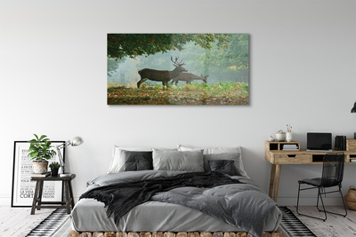 Steklena slika Deer jesenski gozd
