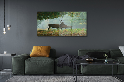 Steklena slika Deer jesenski gozd