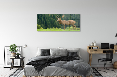 Steklena slika Deer na področju