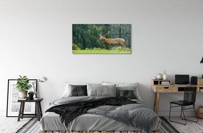 Steklena slika Deer na področju