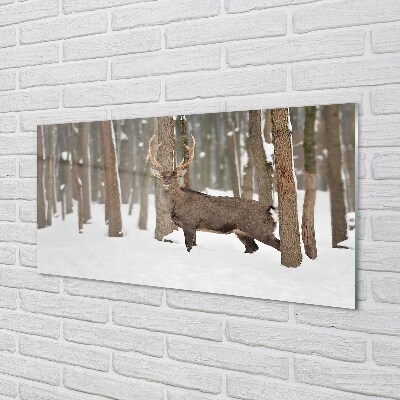 Steklena slika Deer zimski gozd