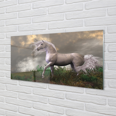 Steklena slika Unicorn oblaki