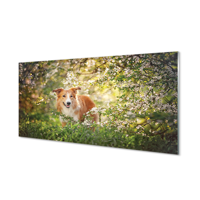 Steklena slika Dog gozdne rože