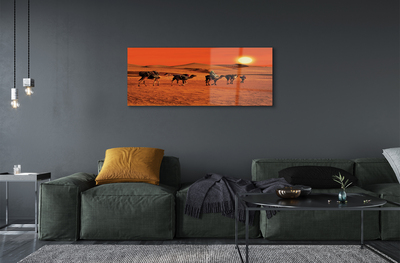 Slika na steklu Kamele ljudje puščavsko sonce nebo