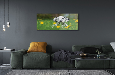 Steklena slika Prerijski pes