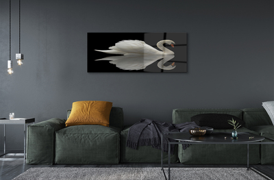Steklena slika Swan v noči