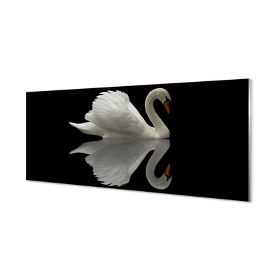 Steklena slika Swan v noči