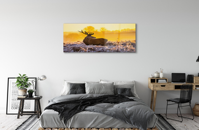 Steklena slika Deer zimski sončni vzhod