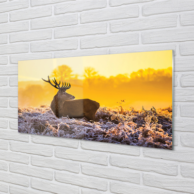 Steklena slika Deer zimski sončni vzhod