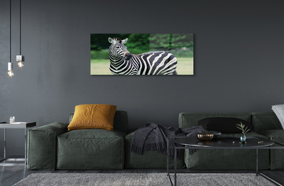 Steklena slika Zebra polje