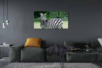 Steklena slika Zebra polje