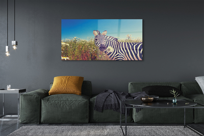 Steklena slika Zebra cvetje
