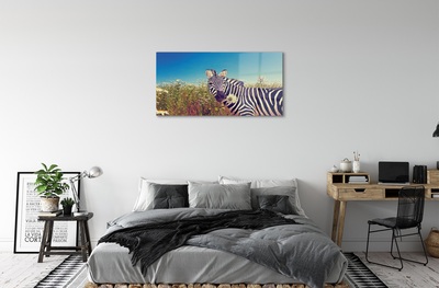 Steklena slika Zebra cvetje