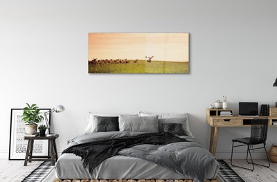 Steklena slika Čreda jelenov polja vzhoda