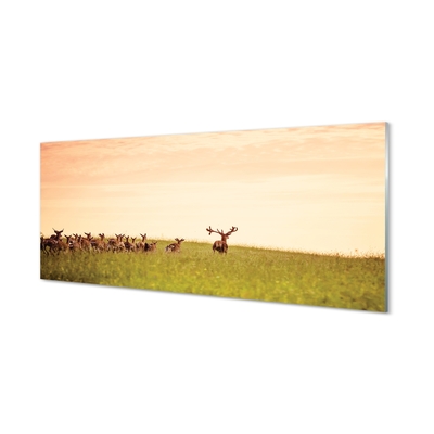Steklena slika Čreda jelenov polja vzhoda