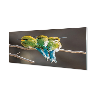 Steklena slika Ptice na veji