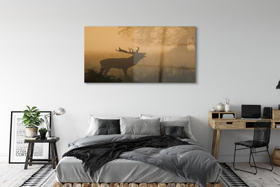 Steklena slika Deer sunrise