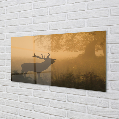 Steklena slika Deer sunrise