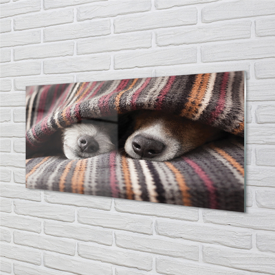 Steklena slika Speči psi