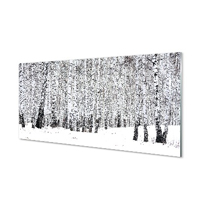 Steklena slika Zimske breze