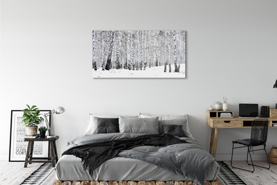 Steklena slika Zimske breze