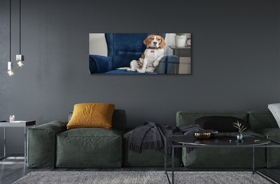 Steklena slika Sedel pes